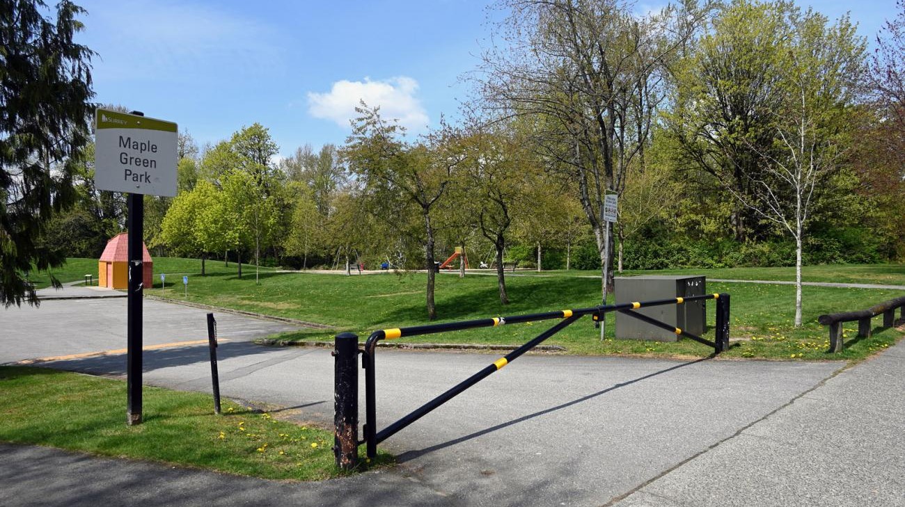 Young Adults at the Park