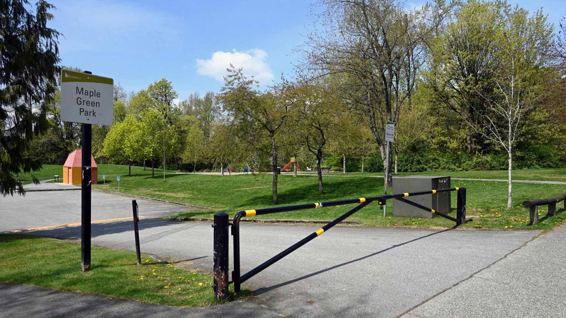 Young Adults at the Park